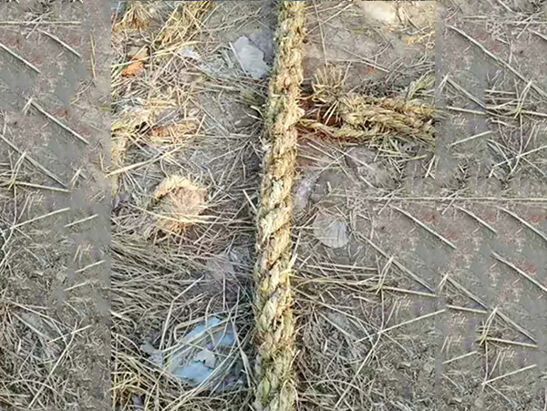 ݰ