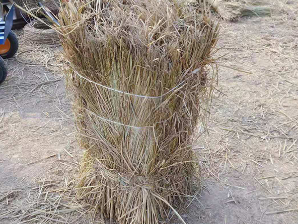 ɳרòƷ